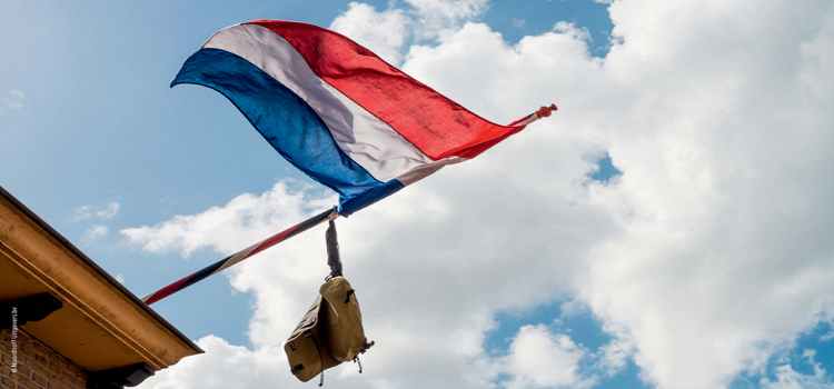 Help je studenten zich voor te bereiden op hun biologie-examen